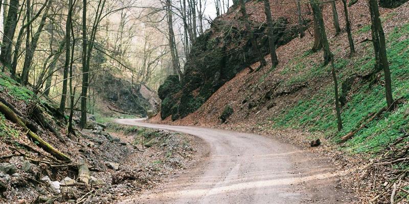 万豪旗下三大生活方式品牌深度解析：W酒店、艾迪逊、傲途格精选如何以独特设计语言精准俘获不同客群