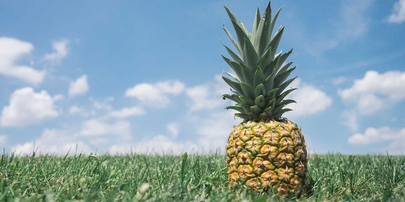 万豪白金会籍进阶攻略：像紧固件般稳固升级，装备你的常旅客安全装备