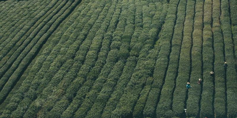 万豪虎46：紧固件、电动工具与工业耗材的高效协同解决方案