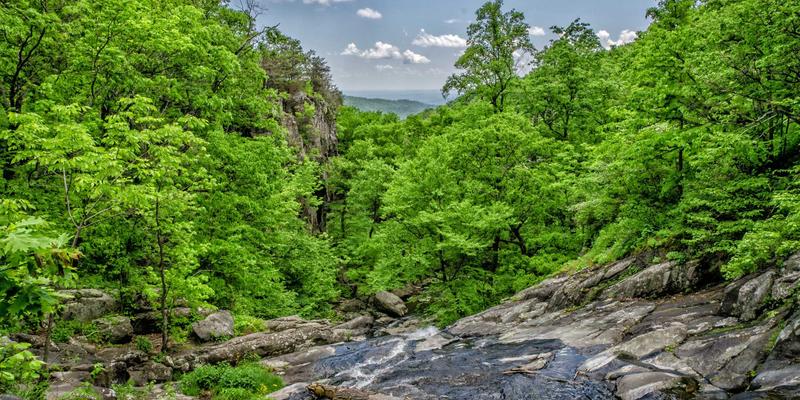 万豪虎65:工业安全与效率的革新者,专业安全装备与工业耗材解析