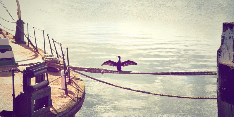 万豪虎发展：以安全装备为核心的工业用品智造之路