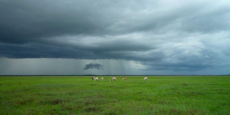 万豪虎是什么？揭秘工业安全与效率的关键装备