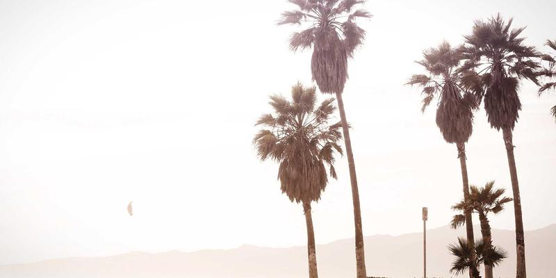 万豪虎趋势：设备供应、电动工具与工业用品的市场新格局