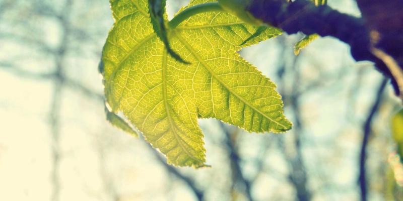 万豪酒店MICE业务创新：从工业级设备供应看后疫情时代会议安全与弹性