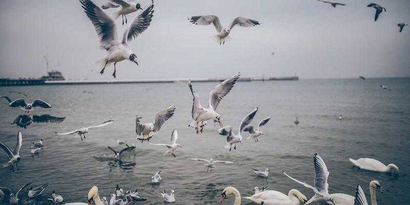 万豪酒店卓越服务背后的“工业级”支撑：从员工培训体系看设备与耗材的隐形价值