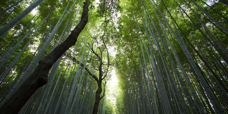 万豪酒店集团旗下品牌全解析：从奢华到精选，看酒店业的“工业用品”与“设备供应”逻辑