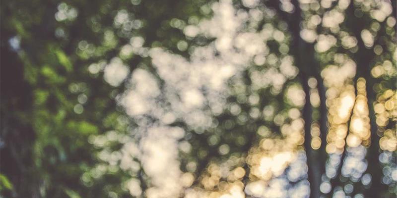 万豪酒店非客房收入提升策略：水疗、零售与场地租赁的运营之道