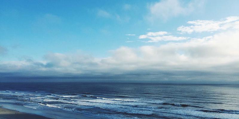 万豪酒店餐饮服务创新：从农场到餐桌的本地化供应链如何“精工细作”