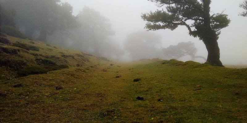 从手动工具到电动工具：万豪酒店与开发商如何拧紧品牌输出与资产管理的“紧固件”