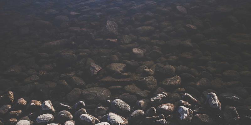 从紧固件到电动工具：深度剖析万豪酒店危机公关与安全管理体系